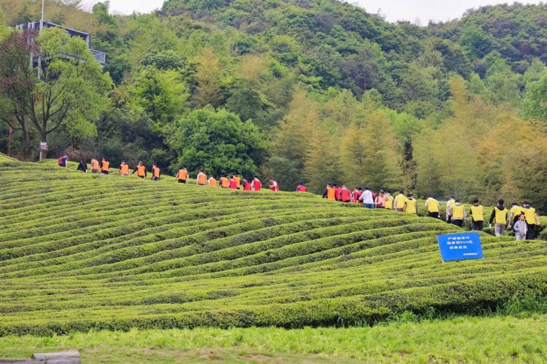 1713835421339246.jpg 2.jpg